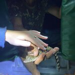 Photo taken by Stephanie S