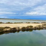 Photo taken by Bailey R