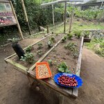 Photo taken by Ross V