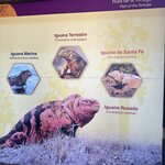 Photo taken by Jonkeeta L