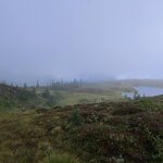 Photo taken by Tamara N