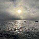 Photo taken by Meg K