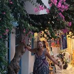 Photo taken by Vicki V