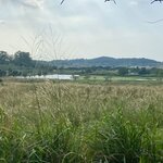 Photo taken by Shannon H