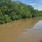 Photo taken by amny g