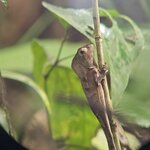 Photo taken by Mark S