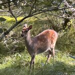 Photo taken by Ellen D