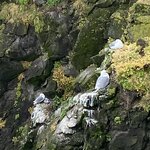 Photo taken by Christina L