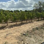 Photo taken by Deborah S