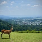 Photo taken by Mallory A