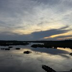 Photo taken by Emily H