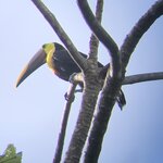 Photo taken by Anna L