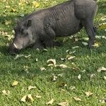 Photo taken by Paul B