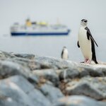 Photo taken by SANDRA V