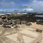 Photo taken by Ricky W