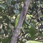 Photo taken by Judith C