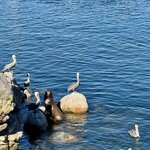 Photo taken by Silvain B