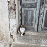 Photo taken by Elin T