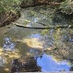 Photo taken by Adriene A