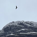 Photo taken by Rahul S