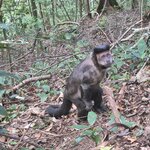 Photo taken by Vickie B