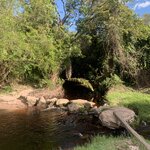 Photo taken by Vicky V