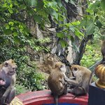 Photo taken by Sabiha K