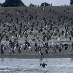 Photo taken by Thomas V