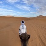 Photo taken by Mohammad Y