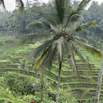 Photo taken by Dixie W