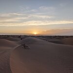 Photo taken by Roni E