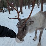 Photo taken by KRISTIN T