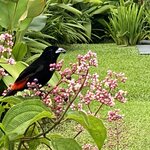 Photo taken by prakash m