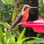 Photo taken by Cindy R