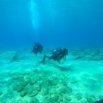 Photo taken by Cassidy J