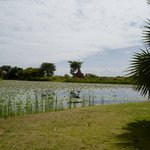 Morning view from our balcony | Photo taken by Su-Lin T