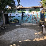 Photo taken by Janice B