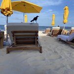 Our hotel in Puerto Morelos | Photo taken by Jazmin D