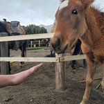 Making friends everywhere we went | Photo taken by Peter S