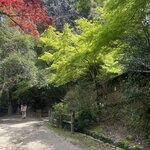 Photo taken by Caz J