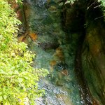 Photo taken by Jill S