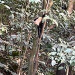 Photo taken by Barb S