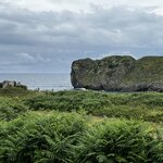 Photo taken by Liz S