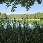 Photo taken by Carol H