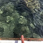 Photo taken by Brenna M