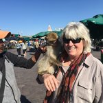 Photo taken by Cynthia T