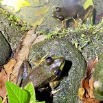 Photo taken by Ben B