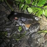 Photo taken by Alexia M