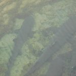 Photo taken by Steven M