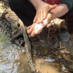 Photo taken by Bailey W